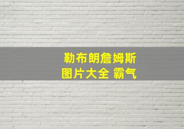 勒布朗詹姆斯图片大全 霸气